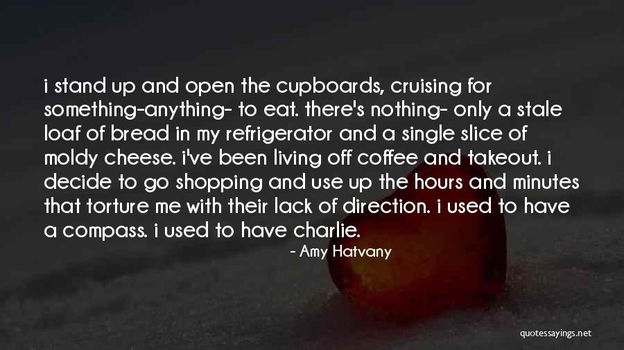 Cruising In Life Quotes By Amy Hatvany Cruising In Life Quotes By Amy Hatvany