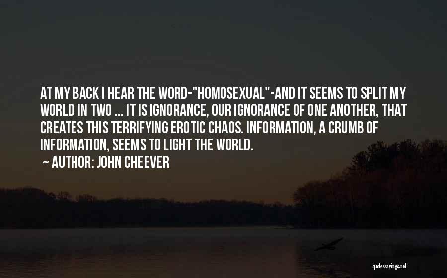 Crumb Quotes By John Cheever