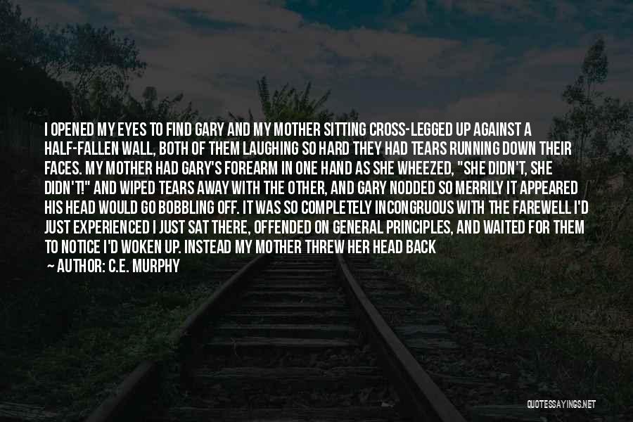 Crumbling Wall Quotes By C.E. Murphy