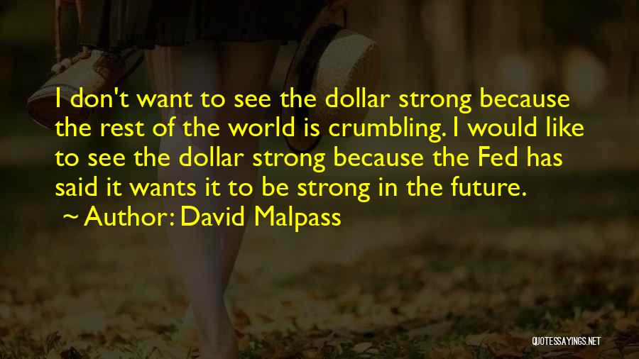 Crumbling World Quotes By David Malpass