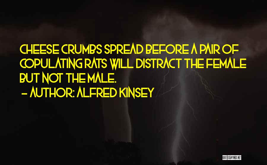 Crumbs Quotes By Alfred Kinsey