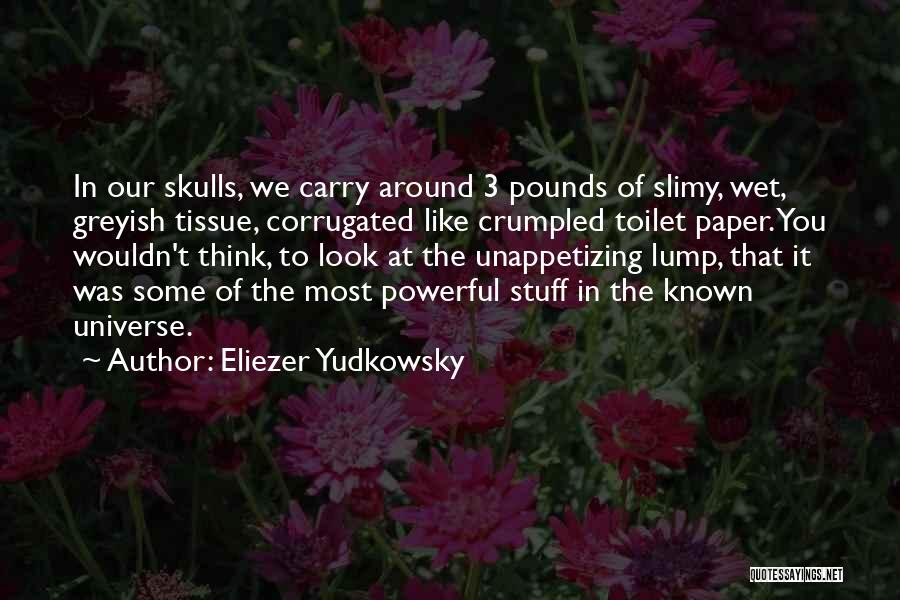 Crumpled Paper Quotes By Eliezer Yudkowsky