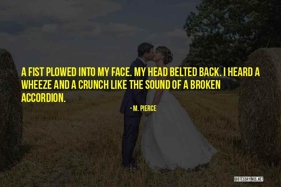 Crunch Quotes By M. Pierce Crunch Quotes By M. Pierce