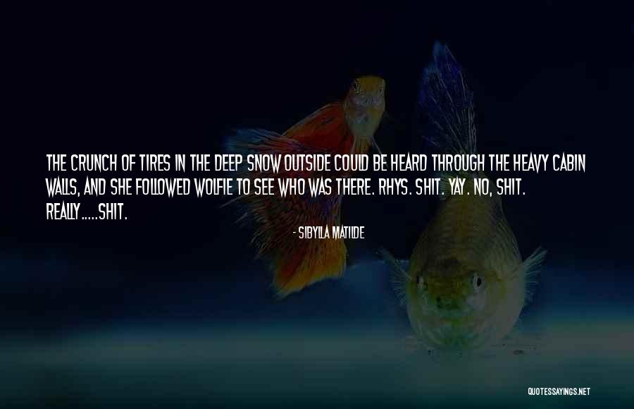 Crunch Quotes By Sibylla Matilde Crunch Quotes By Sibylla Matilde