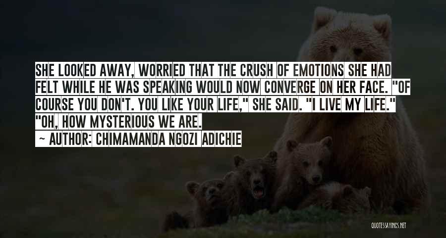 Crush On You Quotes By Chimamanda Ngozi Adichie
