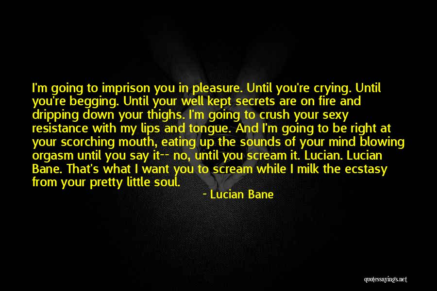 Crush On You Quotes By Lucian Bane