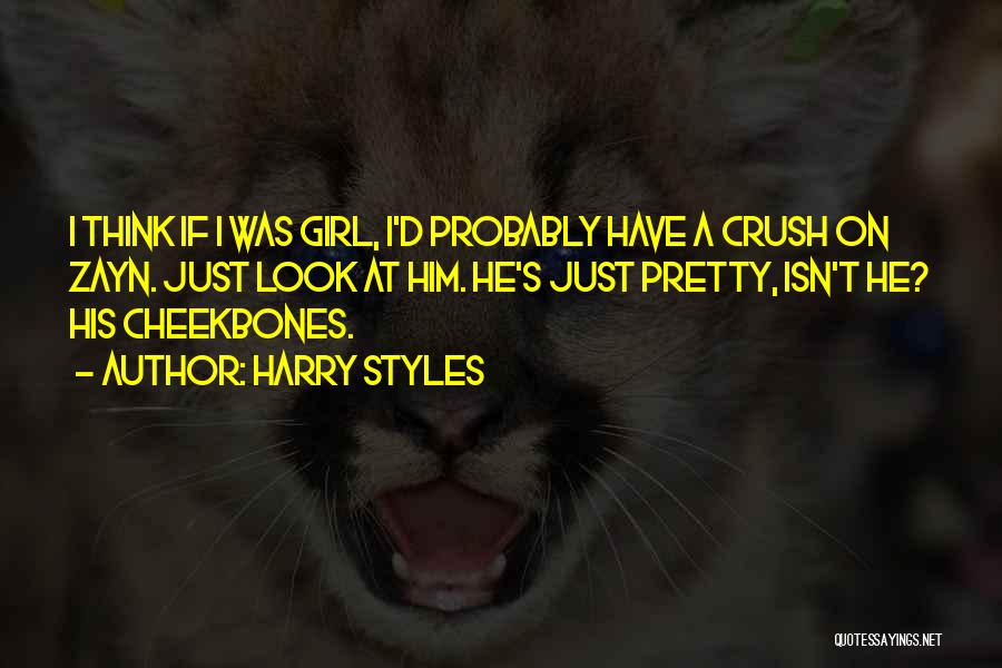 Crush With Someone Quotes By Harry Styles