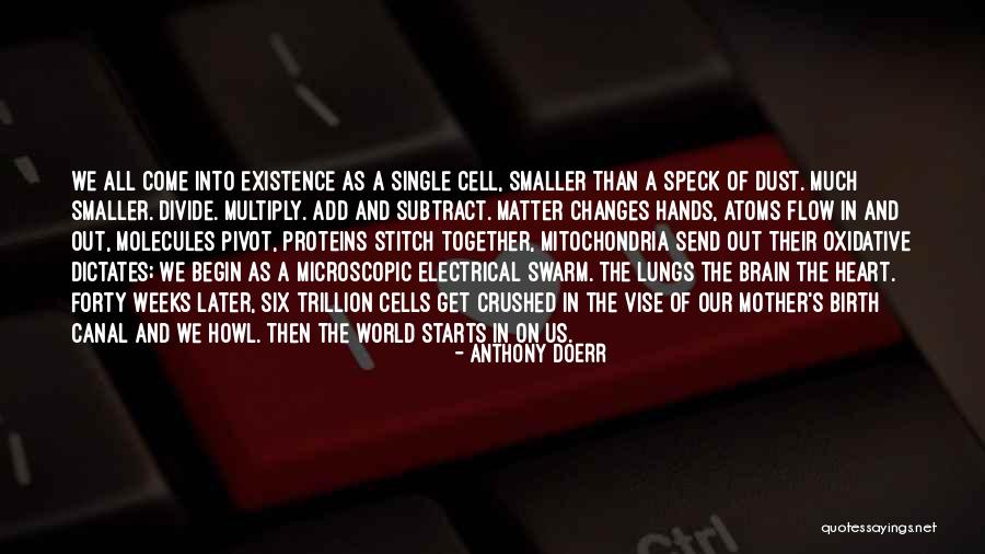 Crushed Heart Quotes By Anthony Doerr Crushed Heart Quotes By Anthony Doerr