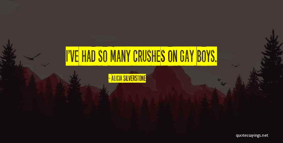 Crushes On A Boy Quotes By Alicia Silverstone