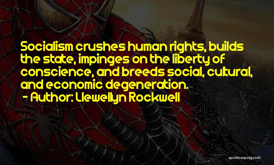 Crushes On Him Quotes By Llewellyn Rockwell