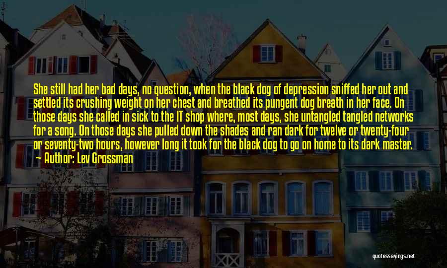 Crushing On Her Quotes By Lev Grossman