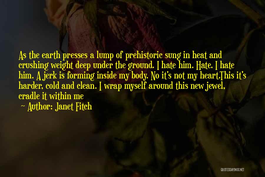 Crushing On Someone New Quotes By Janet Fitch