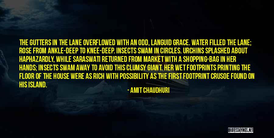 Crusoe Quotes By Amit Chaudhuri