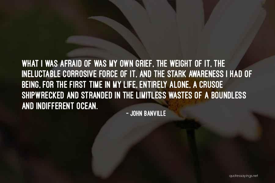 Crusoe Quotes By John Banville