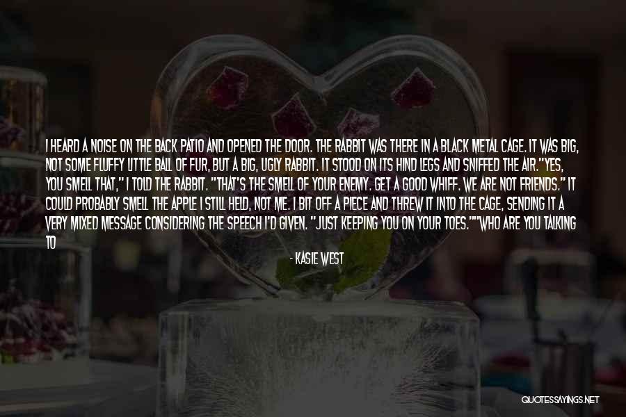 Cruzita Gorey Quotes By Kasie West Cruzita Gorey Quotes By Kasie West