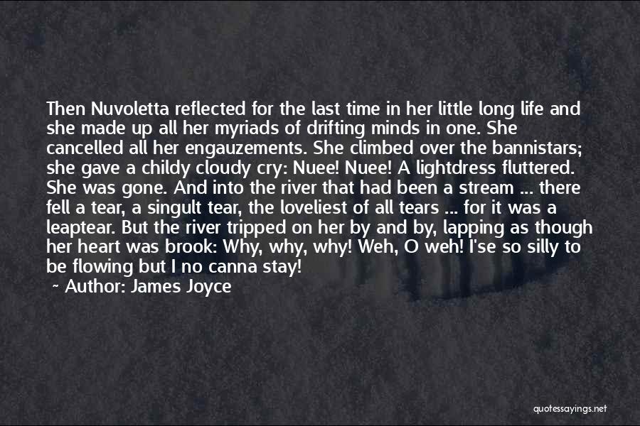 Cry Me A River Quotes By James Joyce