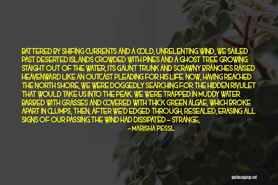 Cry Out For Quotes By Marisha Pessl Cry Out For Quotes By Marisha Pessl
