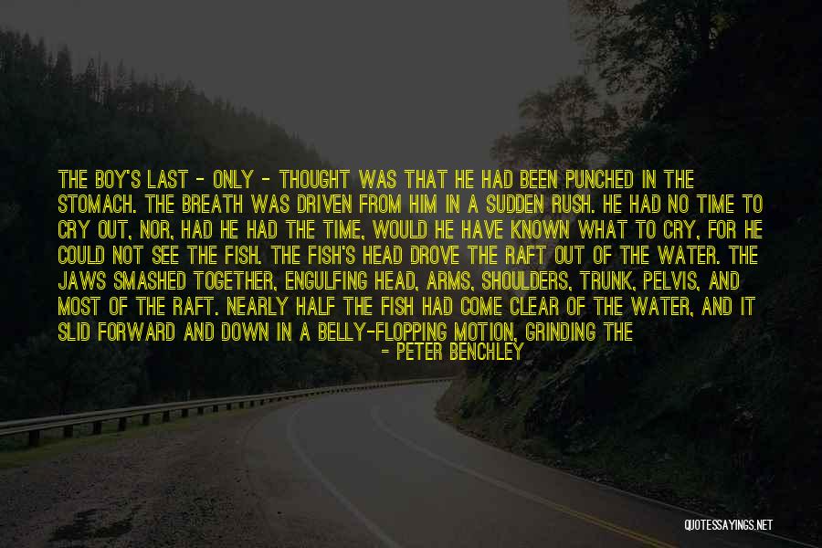 Cry Out For Quotes By Peter Benchley Cry Out For Quotes By Peter Benchley