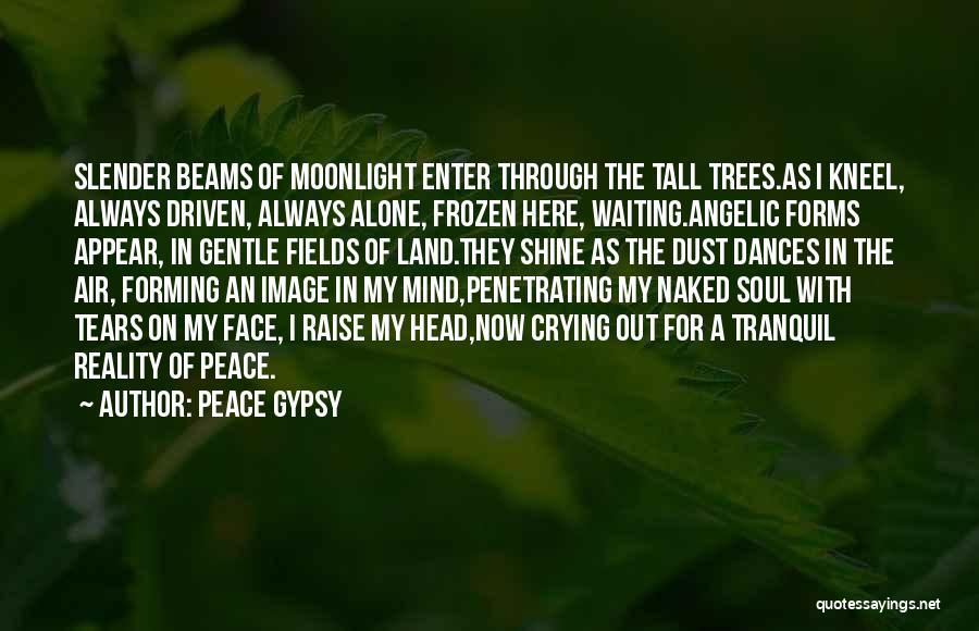Crying Alone Quotes By Peace Gypsy