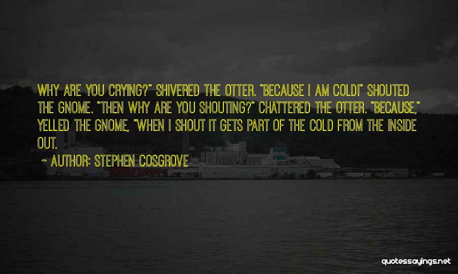 Crying Because Of You Quotes By Stephen Cosgrove