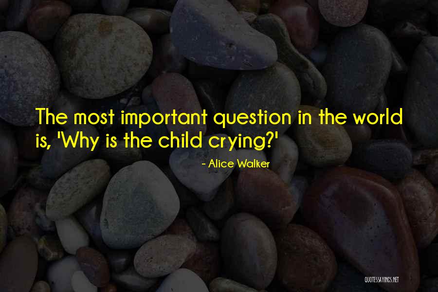 Crying Child Quotes By Alice Walker Crying Child Quotes By Alice Walker