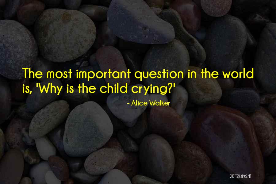 Crying Child Quotes By Alice Walker