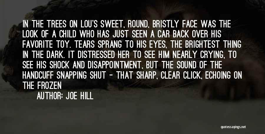Crying Child Quotes By Joe Hill