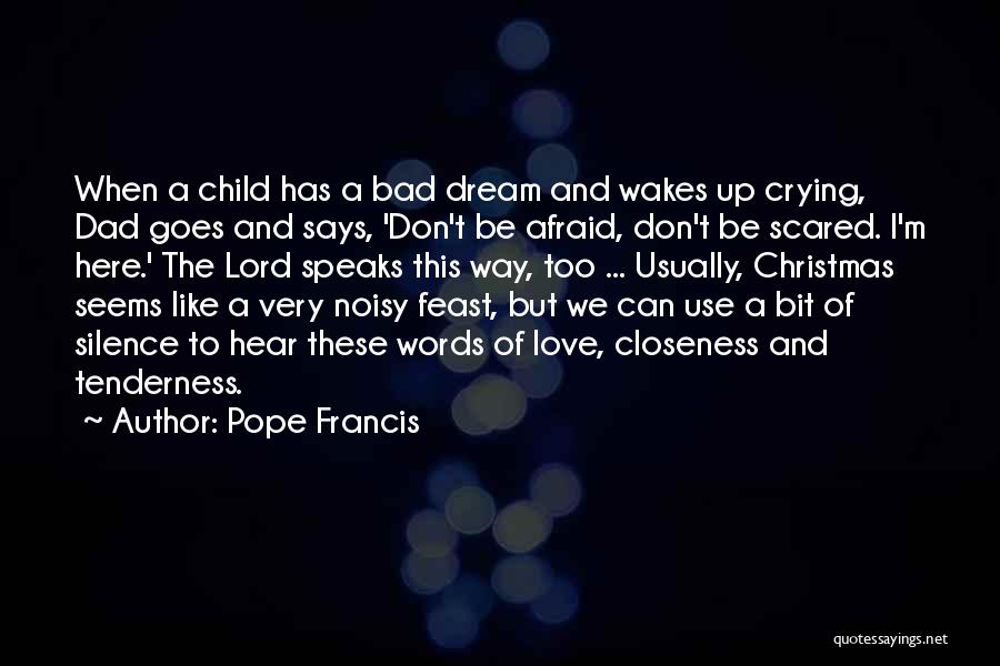 Crying Child Quotes By Pope Francis