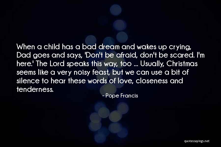 Crying Child Quotes By Pope Francis