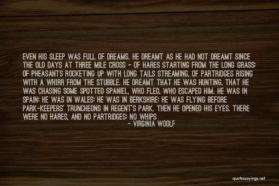 Crying Eyes Quotes By Virginia Woolf Crying Eyes Quotes By Virginia Woolf