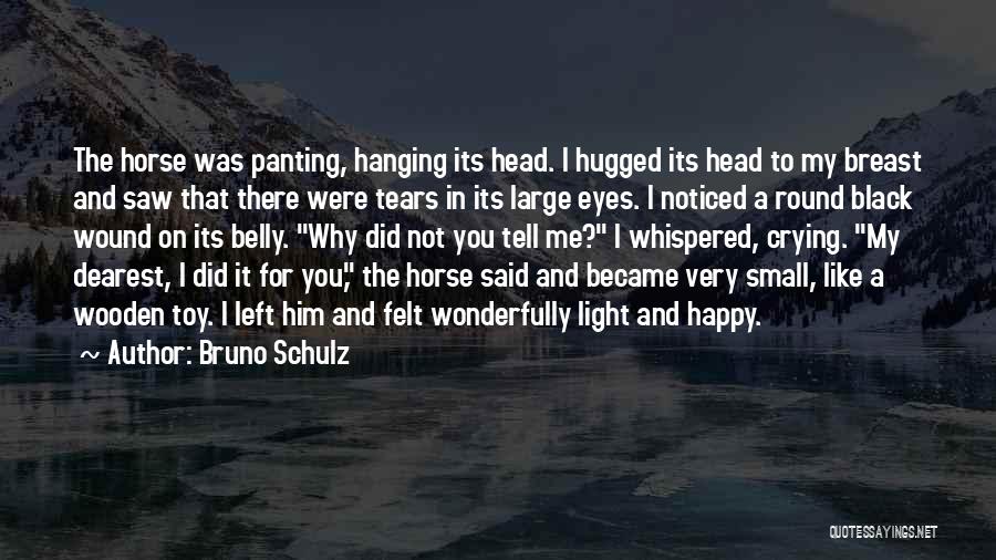 Crying For Him Quotes By Bruno Schulz