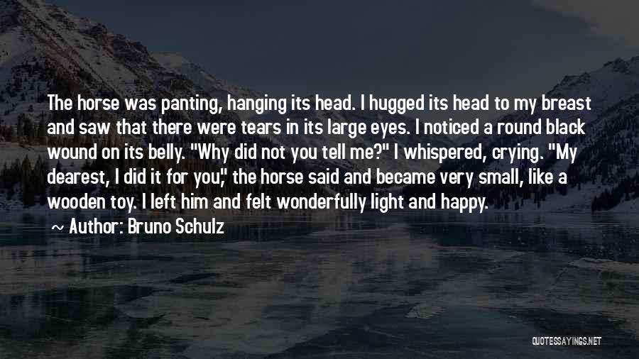 Crying Happy Tears Quotes By Bruno Schulz