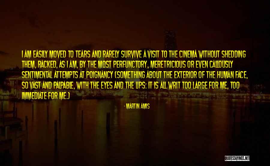 Crying In Movies Quotes By Martin Amis Crying In Movies Quotes By Martin Amis