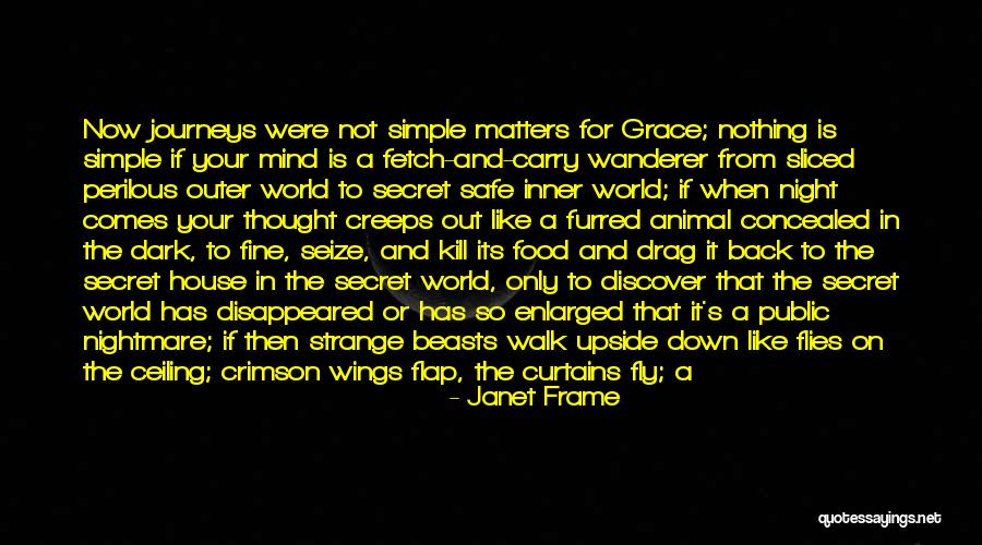 Crying In Public Quotes By Janet Frame