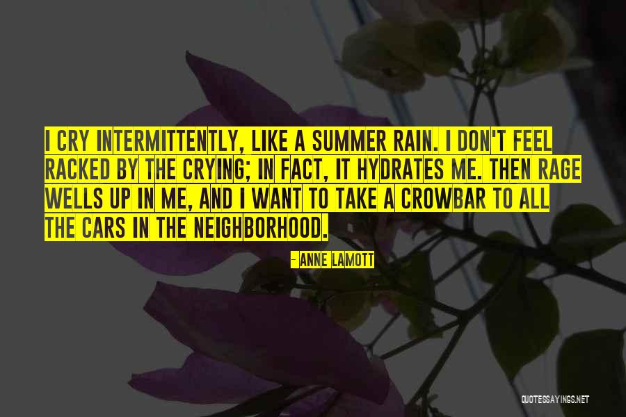 Crying In The Rain Quotes By Anne Lamott