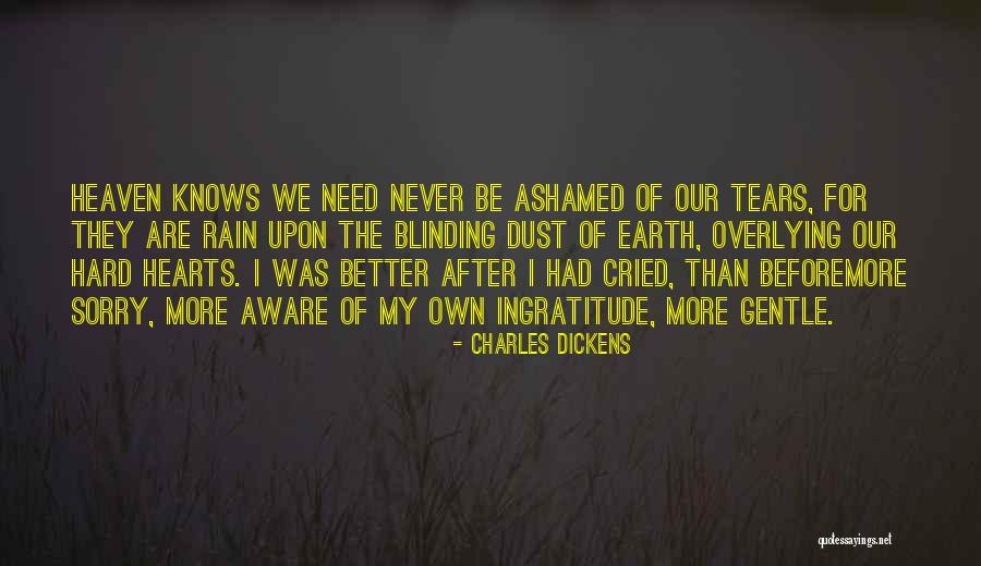 Crying In The Rain Quotes By Charles Dickens