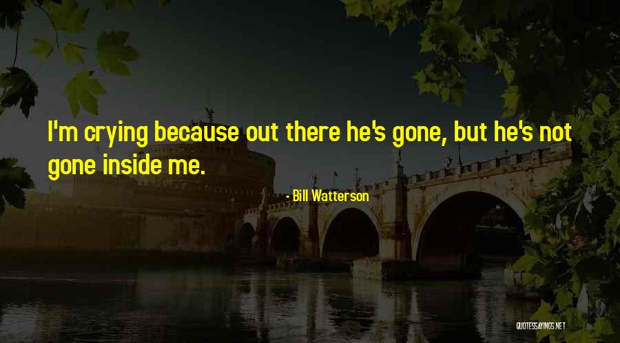 Crying Inside Quotes By Bill Watterson