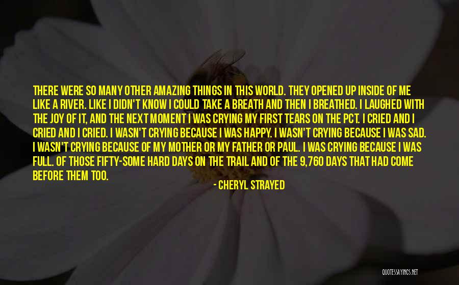 Crying Inside Quotes By Cheryl Strayed