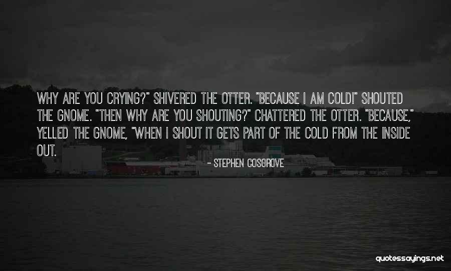 Crying Inside Quotes By Stephen Cosgrove