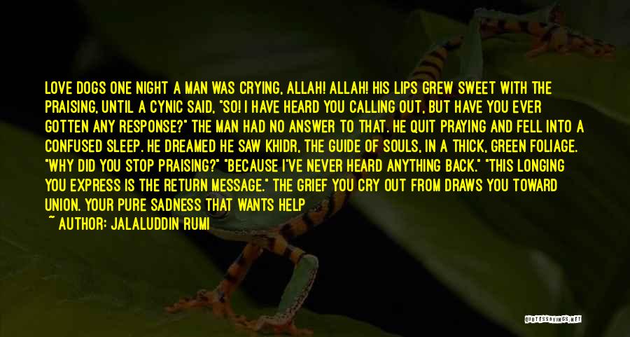 Crying Out For Help Quotes By Jalaluddin Rumi