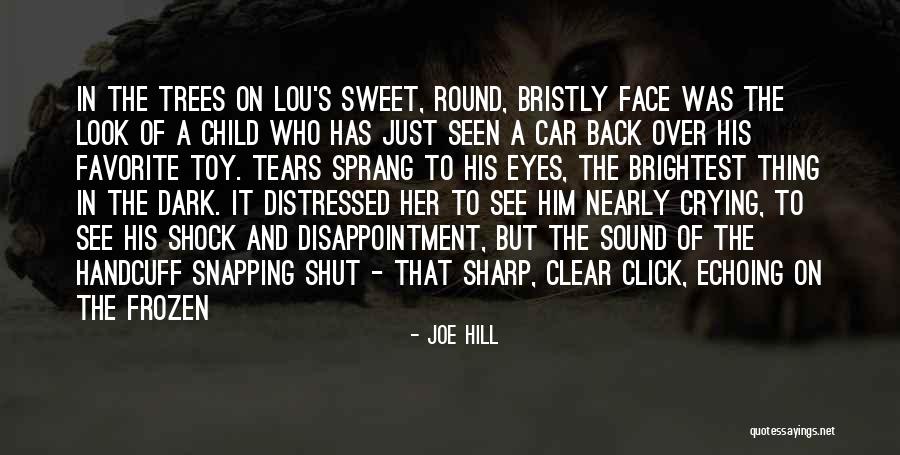 Crying Over Him Quotes By Joe Hill Crying Over Him Quotes By Joe Hill