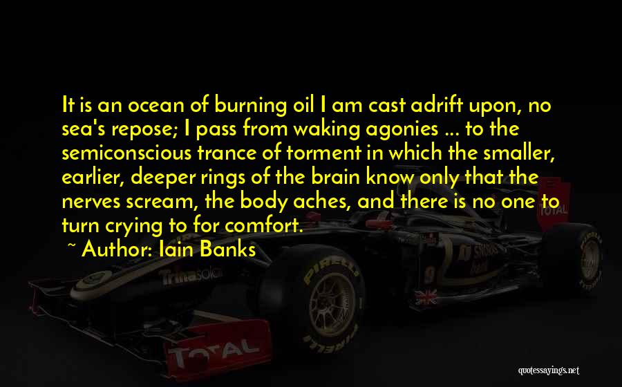 Crying Pain Quotes By Iain Banks