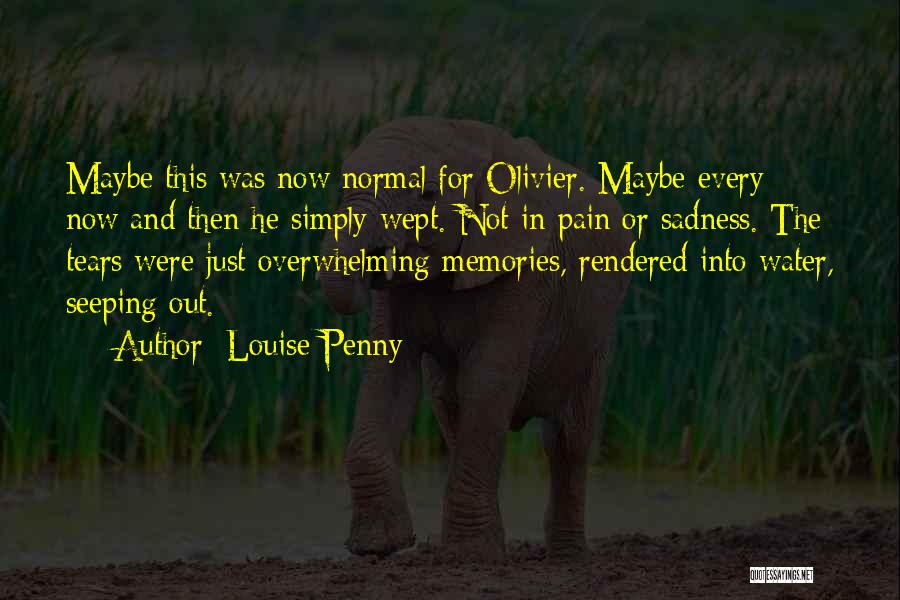 Crying Pain Quotes By Louise Penny