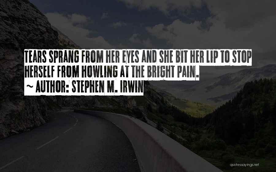 Crying Pain Quotes By Stephen M. Irwin