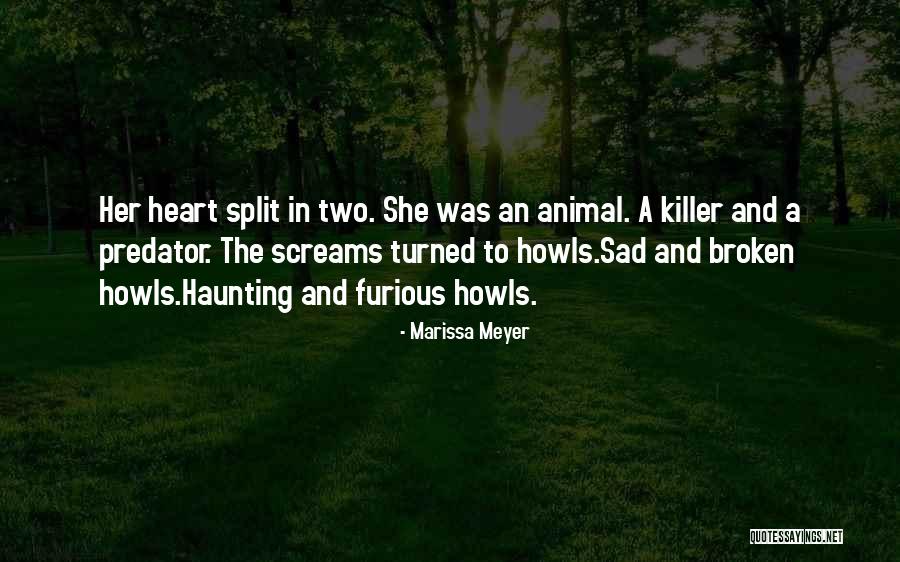 Crystal Anniversary Quotes By Marissa Meyer Crystal Anniversary Quotes By Marissa Meyer