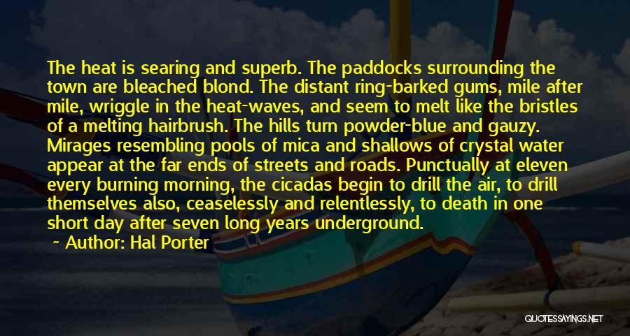 Crystal Water Quotes By Hal Porter