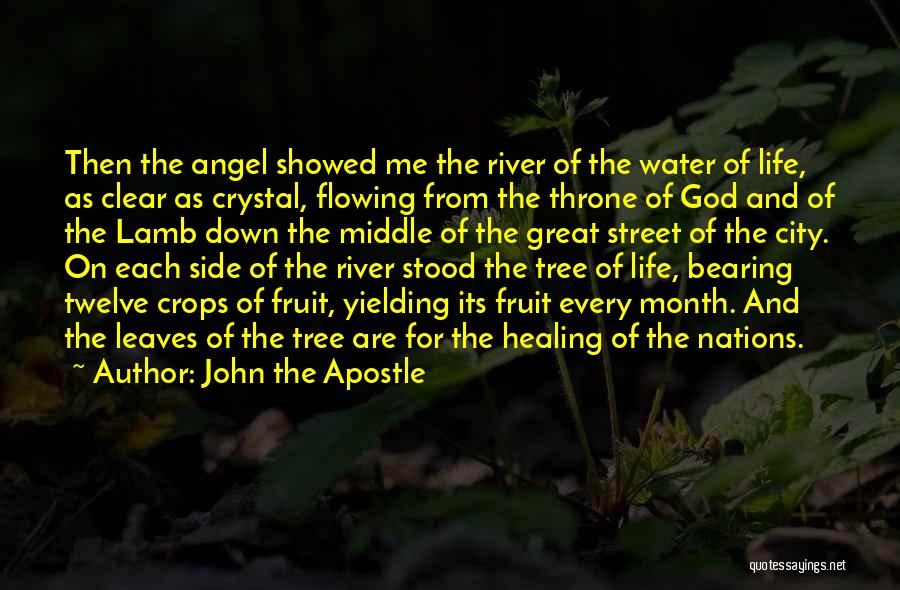 Crystal Water Quotes By John The Apostle