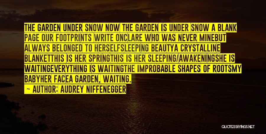 Crystalline Quotes By Audrey Niffenegger