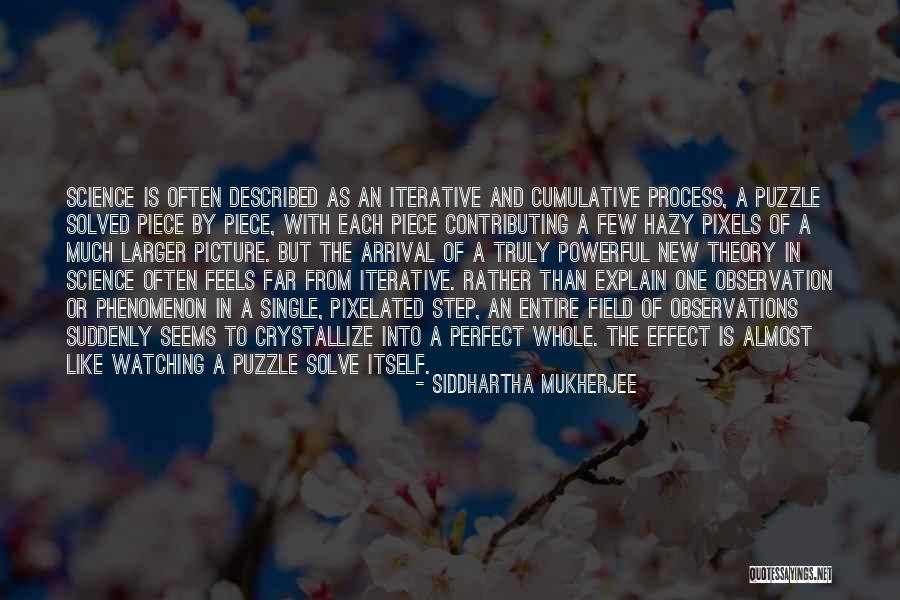 Crystallize Quotes By Siddhartha Mukherjee