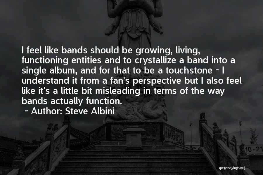 Crystallize Quotes By Steve Albini